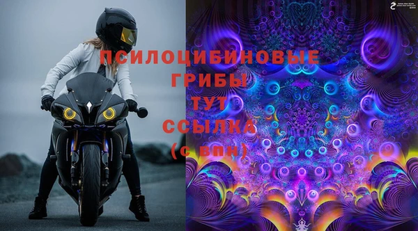 jwh Аркадак