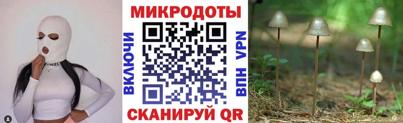 Галлюциногенные грибы ЛСД Усть-Джегута